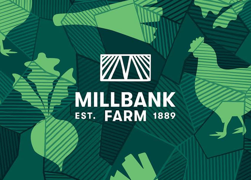 Millbank Farm Branding Design
