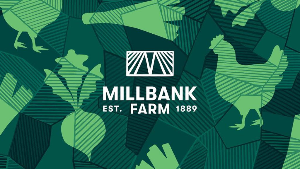 Millbank Farm Branding Design